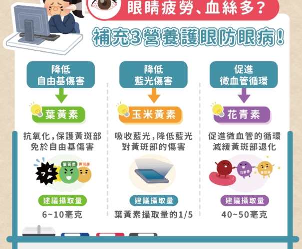護眼保健食品