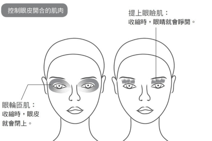 眼皮跳 眼皮跳