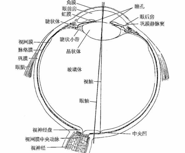 結膜