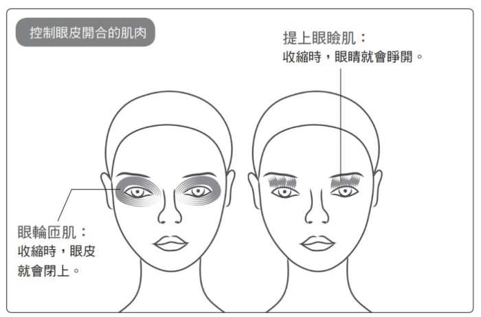 眼輪匝肌放鬆
