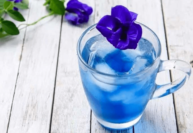 蝶豆花功效 蝶豆花功效