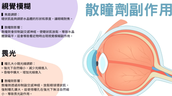 散瞳劑多久會退？多久點一次？