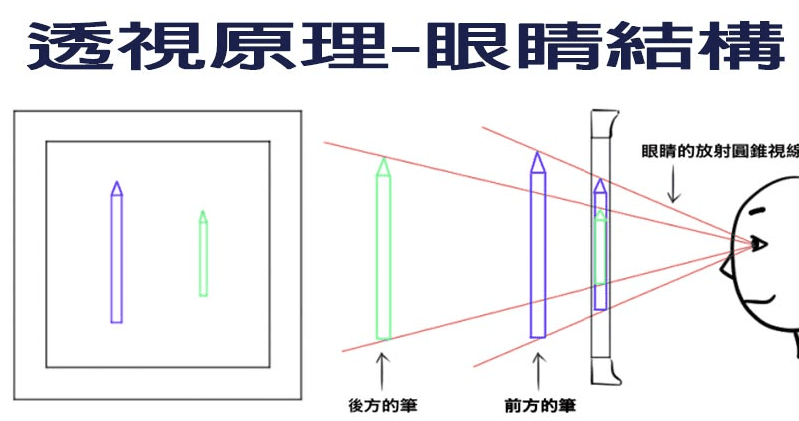 眼睛構造的特殊適應機制